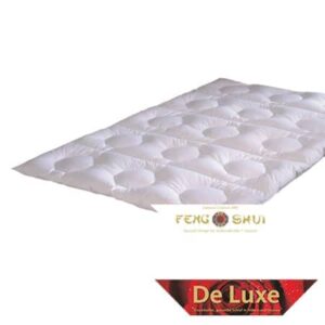 Kassettenstegdecke Feng Shui De Luxe