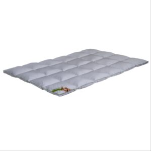 Kassettenstegdecke Premium