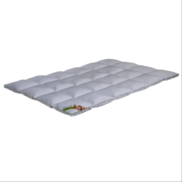 Kassettenstegdecke Premium