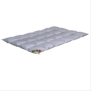 Kassettenstegdecke Premium Waldviertler