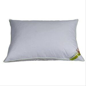 Pillow Pasture-Raised Goose – Extra-Soft