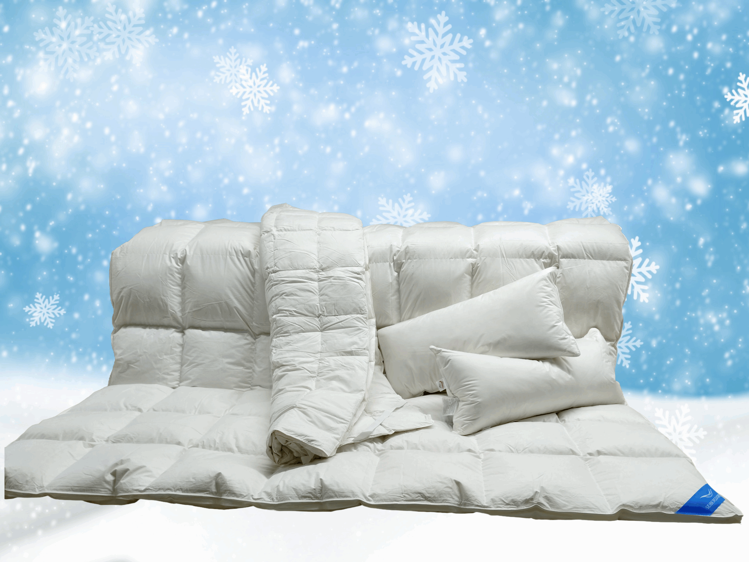 Winter-Komplett-Set 1 Daunendecke, 3-Kammer-Kissen-Unterbett